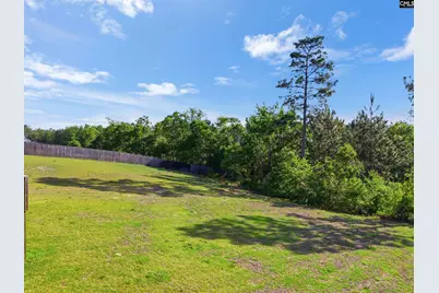 223 Cassique Drive, Lexington, SC 29073 - Photo 36