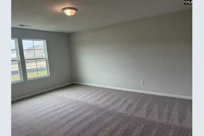 1074 Begonia Drive, Lexington, SC 29073 - Photo 8