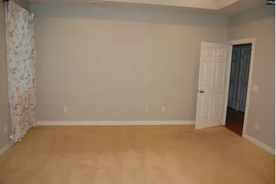 216 Powell Drive, Lexington, SC 29072 - Photo 16