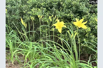 3010 Gervais Street, Columbia, SC 29204 - Photo 34