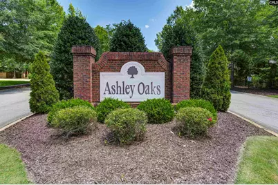 310 Black Walnut Lane, Blythewood, SC 29016 - Photo 58