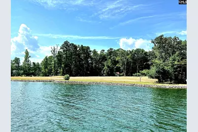 748 Crystal Lake Circle Lot 3, Chapin, SC 29036 - Photo 4