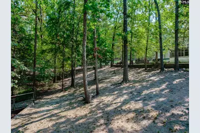 102 Hideaway Cove Court, Gilbert, SC 29054 - Photo 14