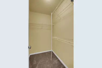117 Tuscany Court, Irmo, SC 29063 - Photo 26