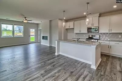 329 Brass Billion Path, Lexington, SC 29073 - Photo 4