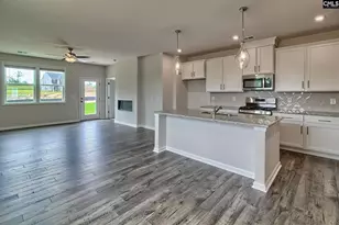 329 Brass Billion Path, Lexington, SC 29073 - Photo 4