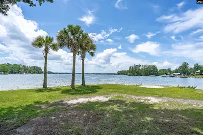 165 Saint Thomas Church Road, Chapin, SC 29036 - Photo 64