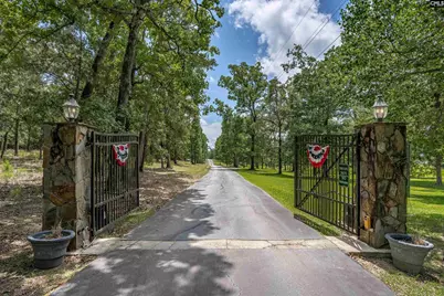 165 Saint Thomas Church Road, Chapin, SC 29036 - Photo 14
