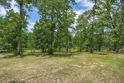 165 Saint Thomas Church Road, Chapin, SC 29036 - Photo 72