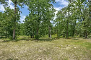 165 St Thomas Church Rd, Chapin, SC 29036 - Photo 72