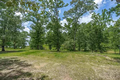 165 Saint Thomas Church Road, Chapin, SC 29036 - Photo 44