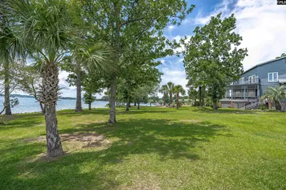 165 Saint Thomas Church Road, Chapin, SC 29036 - Photo 46