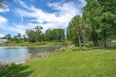 165 Saint Thomas Church Road, Chapin, SC 29036 - Photo 10