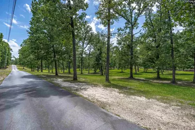 165 Saint Thomas Church Road, Chapin, SC 29036 - Photo 38