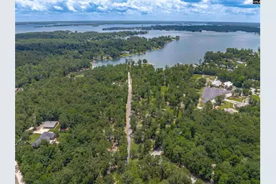 165 Saint Thomas Church Road, Chapin, SC 29036 - Photo 2