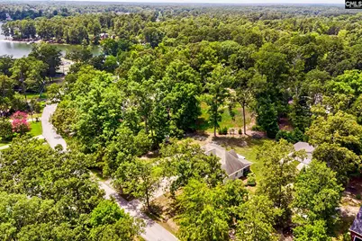 256 Mary Drive, Chapin, SC 29036 - Photo 44
