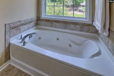 256 Mary Drive, Chapin, SC 29036 - Photo 28