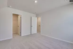 297 Summer Orch Dr, Lexington, SC 29072 - Photo 38