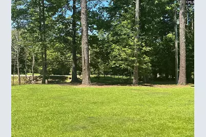 162 Baskin Hills Road, Lexington, SC 29072 - Photo 58