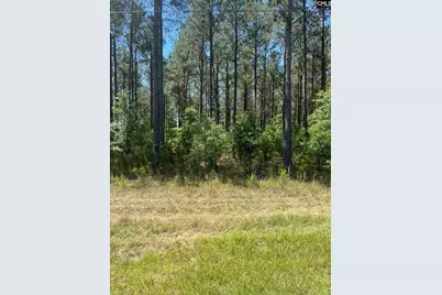Sda 1 Salley Road #SDA 1, Salley, SC 29137 - Photo 2