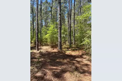 Sda 1 Salley Road #SDA 1, Salley, SC 29137 - Photo 10