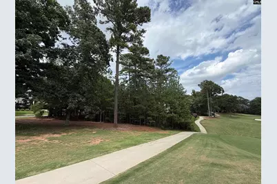122 Peppermint Lane, Blythewood, SC 29016 - Photo 4