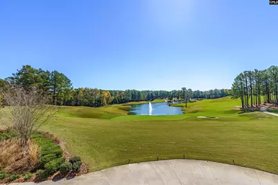 122 Peppermint Lane, Blythewood, SC 29016 - Photo 10