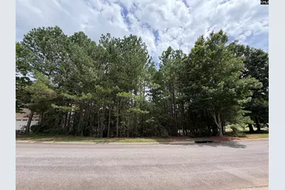 122 Peppermint Lane, Blythewood, SC 29016 - Photo 1