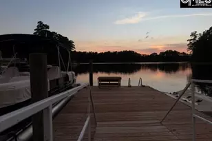 401 Bent Oak Ct, Chapin, SC 29036 - Photo 64