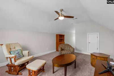 228 Cedar Hollow Lane, Irmo, SC 29063 - Photo 38