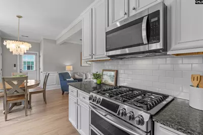 604 Pinnacle Way, Lexington, SC 29072 - Photo 8