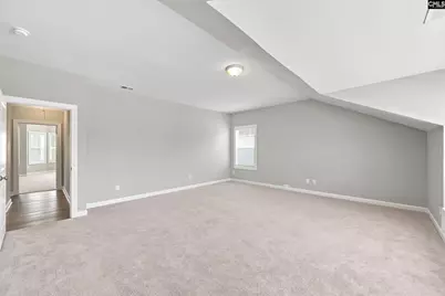 2360 Hadley Crossing, Chapin, SC 29036 - Photo 54