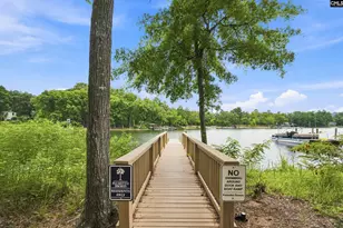 2360 Hadley Xing, Chapin, SC 29036 - Photo 66
