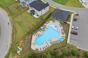 2360 Hadley Xing, Chapin, SC 29036 - Photo 60