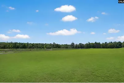 440 Happy Hollow Drive, Gaston, SC 29053 - Photo 6