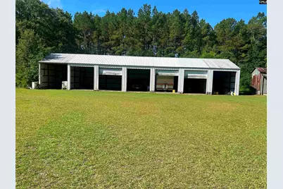 145 Harvey Berry Road, Pelion, SC 29123 - Photo 22