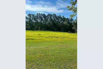 145 Harvey Berry Road, Pelion, SC 29123 - Photo 20