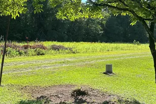 145 Harvey Berry Rd, Pelion, SC 29123 - Photo 18