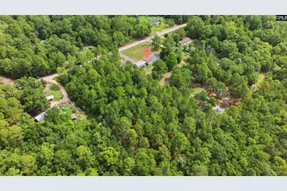 318 Catherine Drive, Pelion, SC 29123 - Photo 38