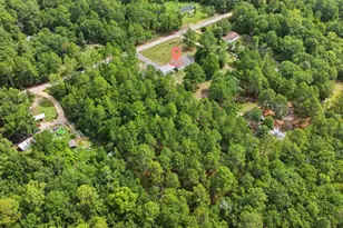 318 Catherine Dr, Pelion, SC 29123 - Photo 38
