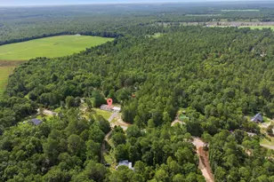 318 Catherine Dr, Pelion, SC 29123 - Photo 42