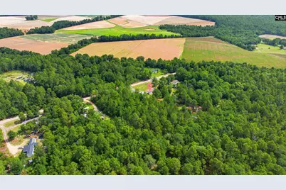 318 Catherine Drive, Pelion, SC 29123 - Photo 40