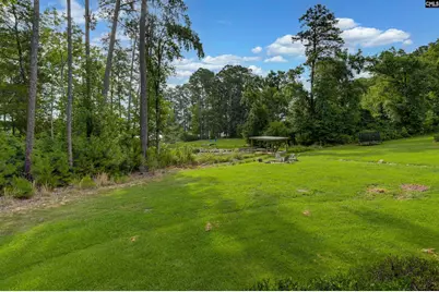 219 Hay Lee Drive, Chapin, SC 29036 - Photo 32