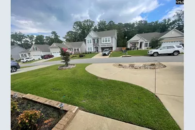 239 Doolittle Drive, Chapin, SC 29036 - Photo 4