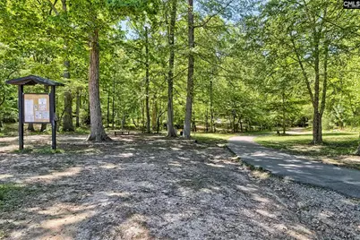 337 Granny's Cut Way, Chapin, SC 29036 - Photo 16