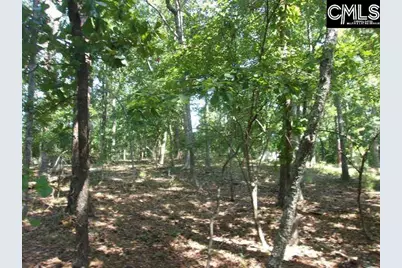 216 Rebecca Drive, Leesville, SC 29070 - Photo 4