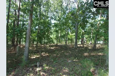 216 Rebecca Drive, Leesville, SC 29070 - Photo 2