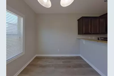 356 Dawsons Park Drive, Lexington, SC 29072 - Photo 4