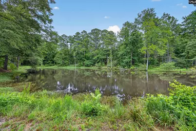 2309 Priceville Road, Gilbert, SC 29054 - Photo 34