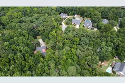 221 Leventis Lane, Lexington, SC 29072 - Photo 6
